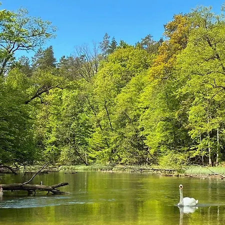 Dom wakacyjny Zagroda Nad Krutynia By Interhome Spychowo